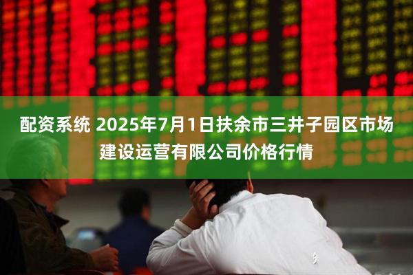 配资系统 2025年7月1日扶余市三井子园区市场建设运营有限公司价格行情